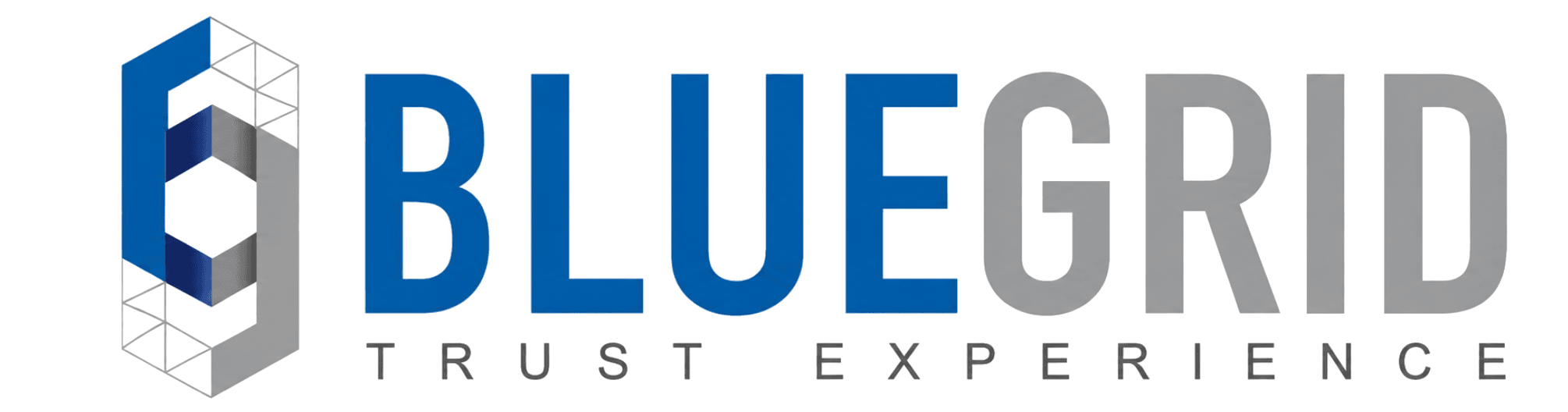 BlueGrid Financial Services